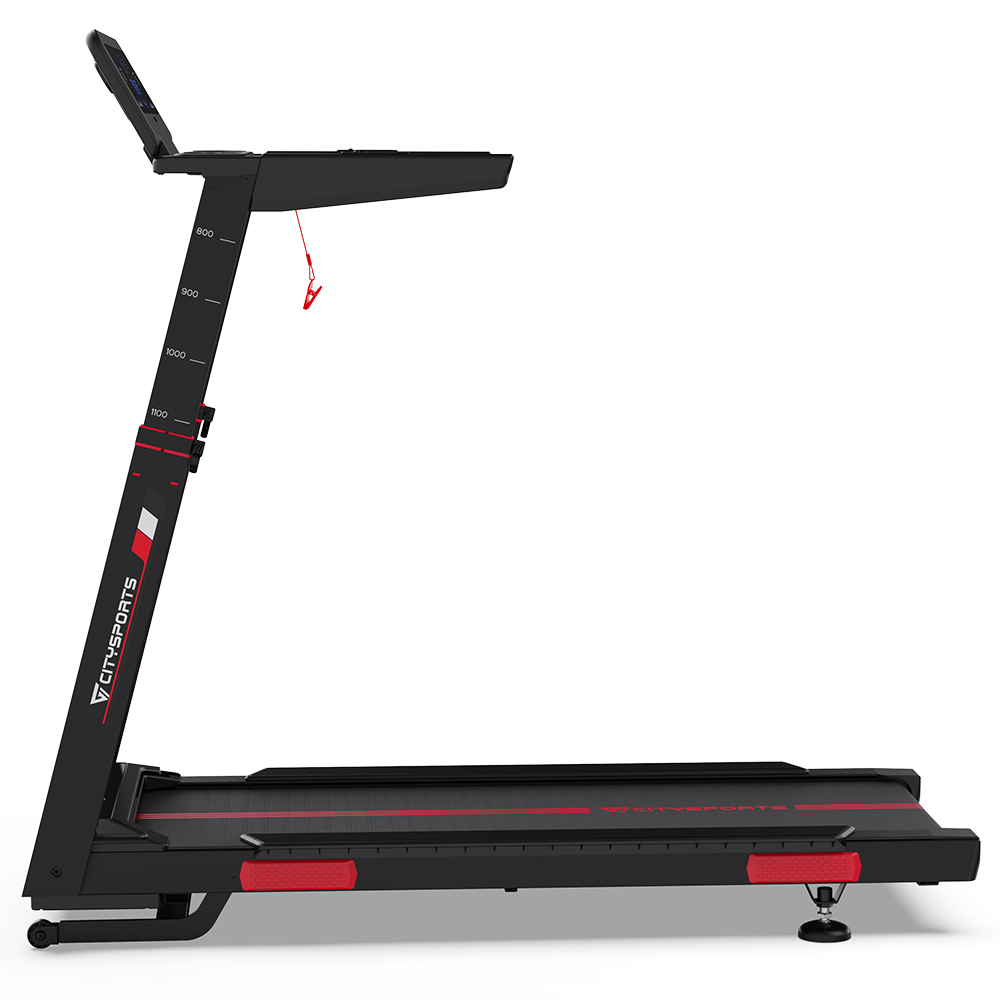 CITYSPORTS NB2-AI with Bosch Motor