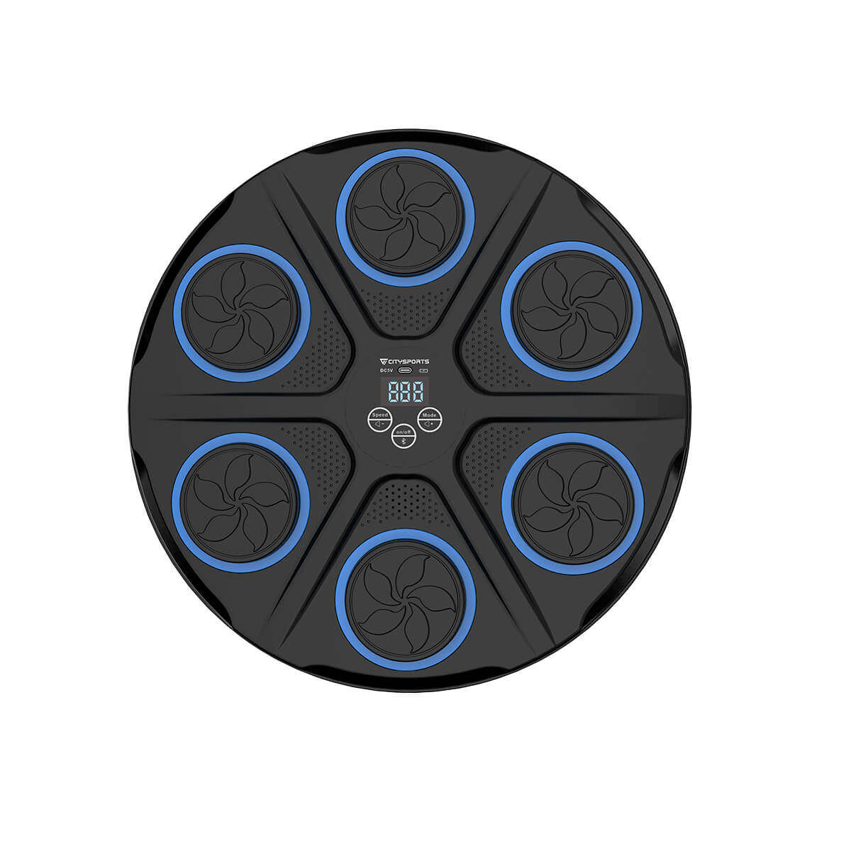 CITYSPORTS Wall-Mounted Music Boxing Pad