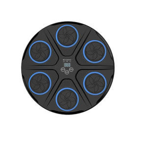 CITYSPORTS Wall-Mounted Music Boxing Pad