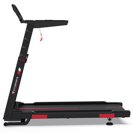 CITYSPORTS NB2-AI with Bosch Motor
