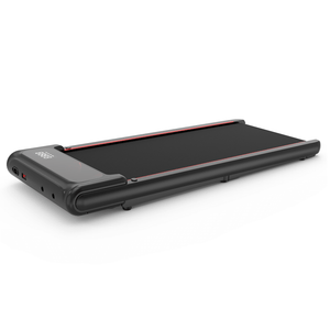 WP10