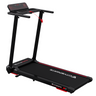 CITYSPORTS WP9 folding treadmill with handrail raised, front three-quarter view
